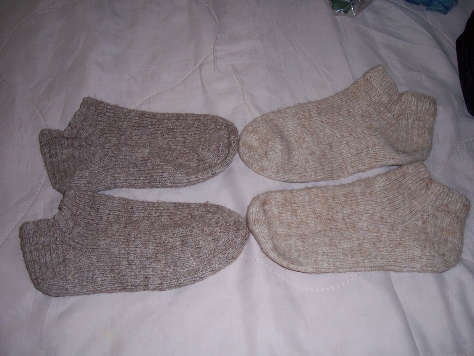 [wool+alpaca+socks.jpg]