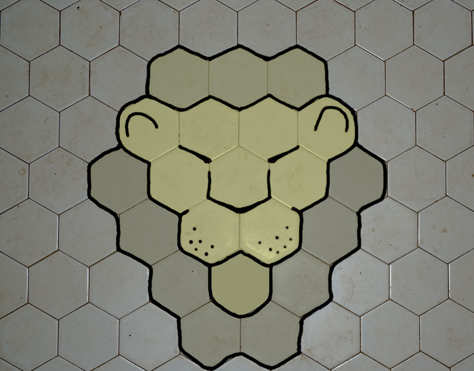 [lion.jpg]