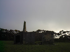 grey sunset and ruins in the sheep field