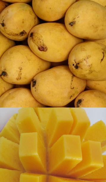 [mangoes.JPG]