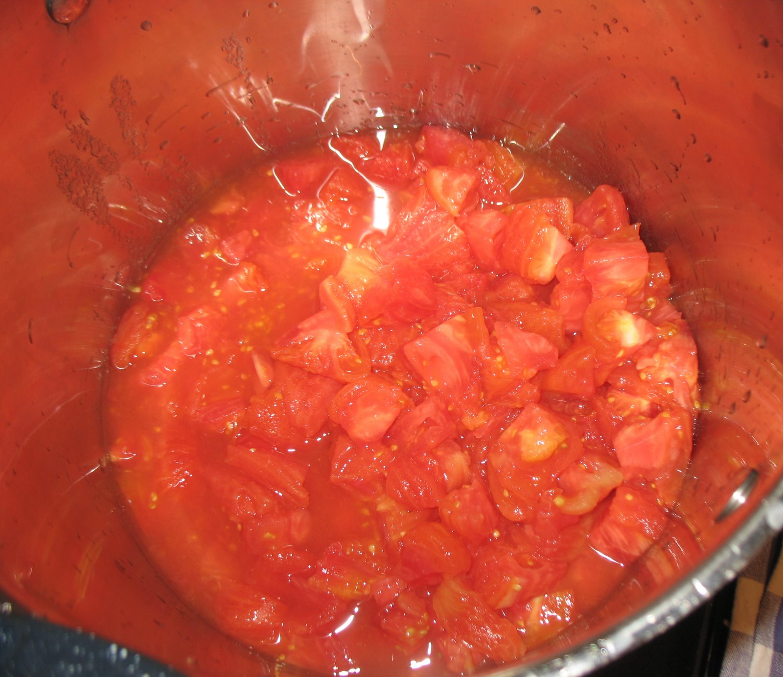 [canning+the+salsa+012.jpg]