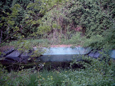 2008 Abandoned Swimming Pool