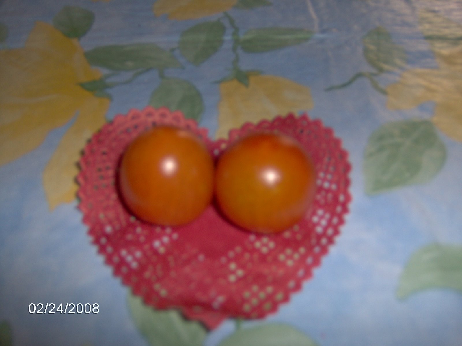 [First+cherry+tomatoes.jpg]