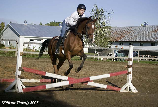 [Horse+Jumping.jpg]