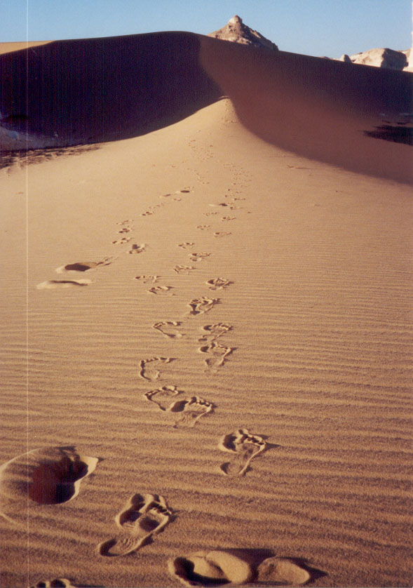 [footprints-in-sand.jpg]