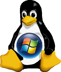 [linux_windows.jpg]