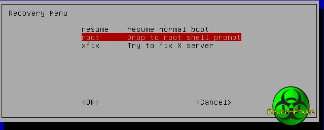 ubuntu recovery root