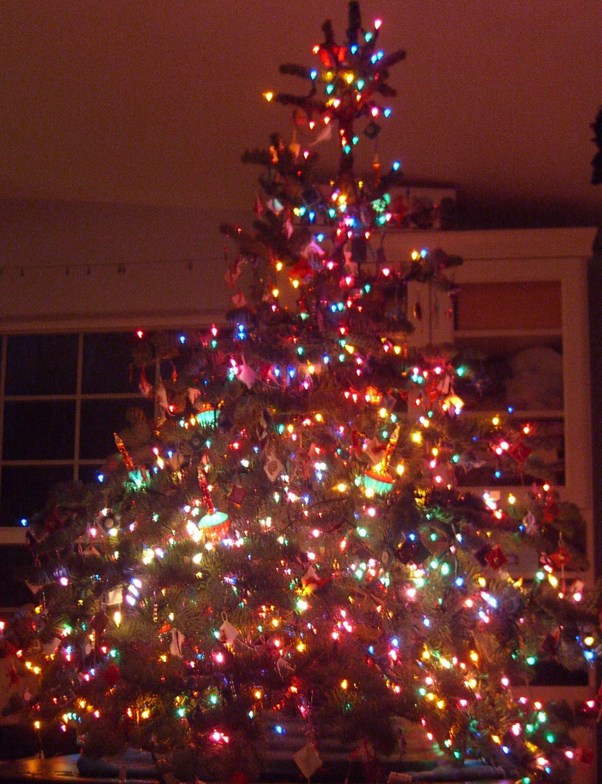 [Inchie+Christmas+Tree+Night.jpg]