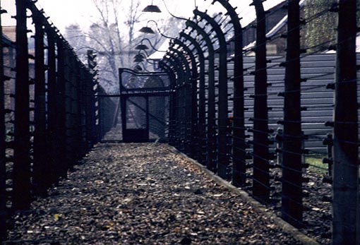 [Auschwitz,.jpg]
