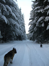 Winter on Mount Arrowsmith