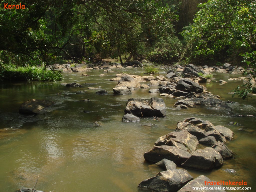 [Kabani+River++at+Wayanad+traveltokerala.blogspot.com+(9).jpg]