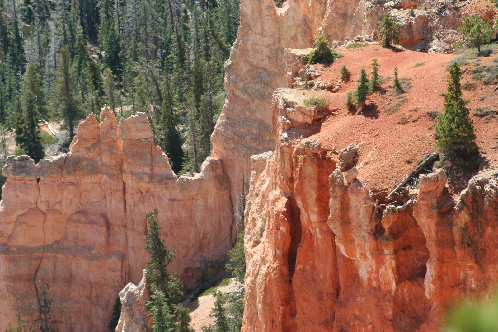 [Bryce+Canyon+to+home+134.JPG]