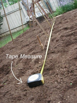 [tape+measure+in+the+garden.jpg]