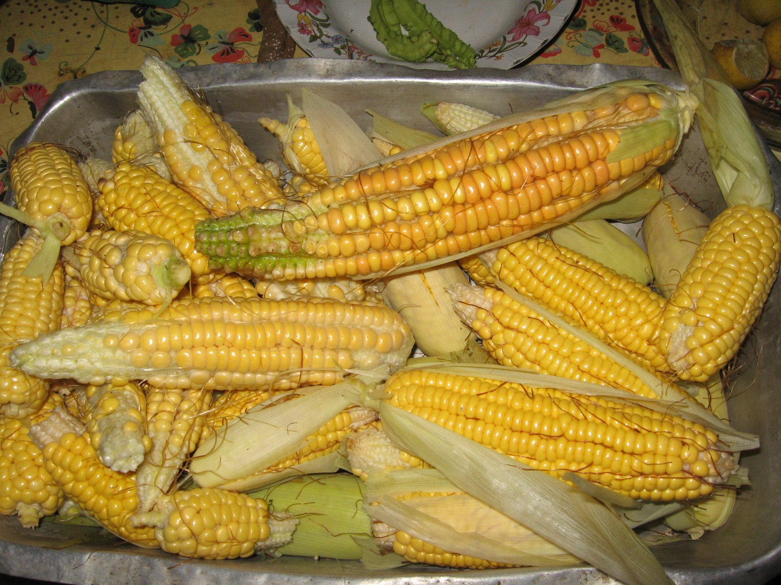 [corn.JPG]