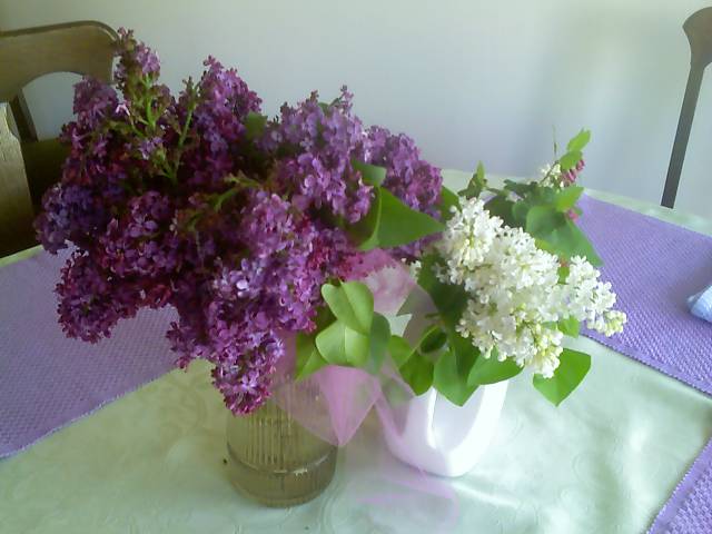 [Mom+Day+lilacs+on+table.jpg]