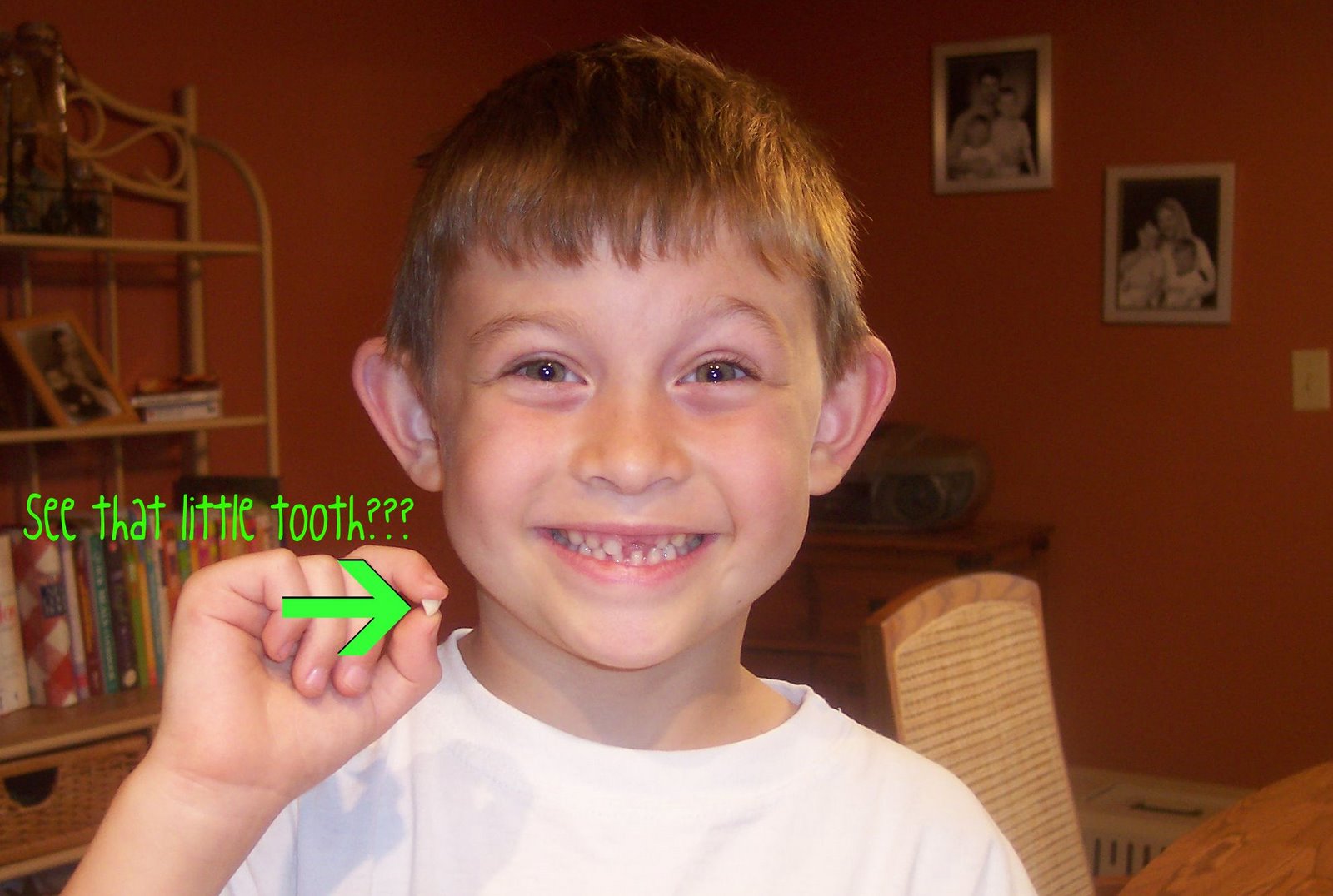 [Noah+and+his+1st+lost+tooth.jpg]