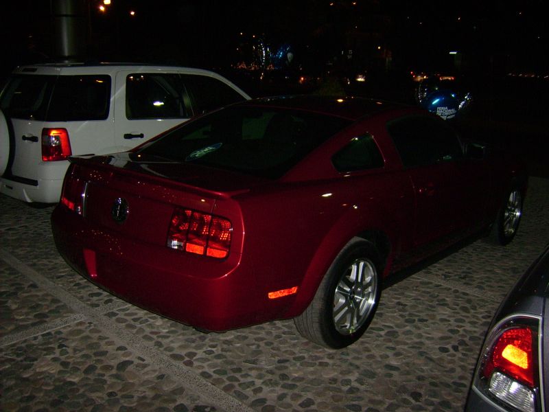 [Mustang3.JPG]