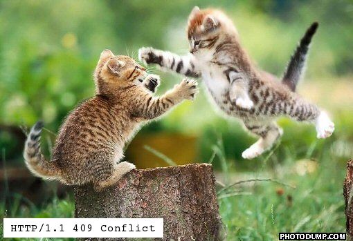 [flying-cat-fight.jpg]