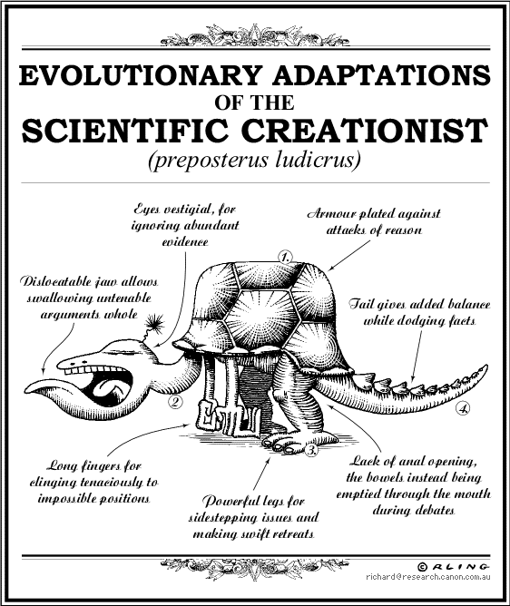 [creationist.gif]