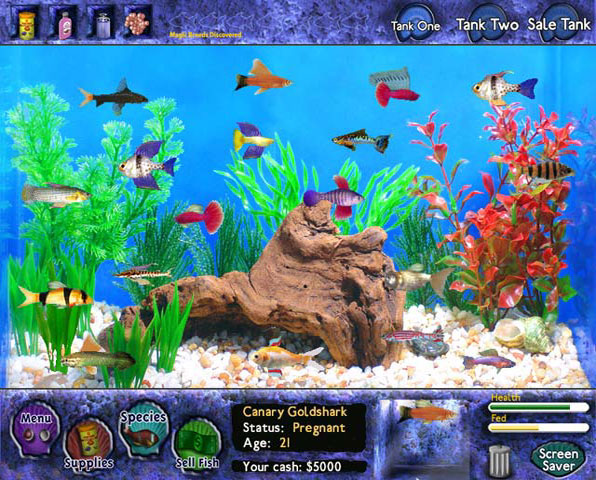 [fish+tycoon+aquarium.jpg]