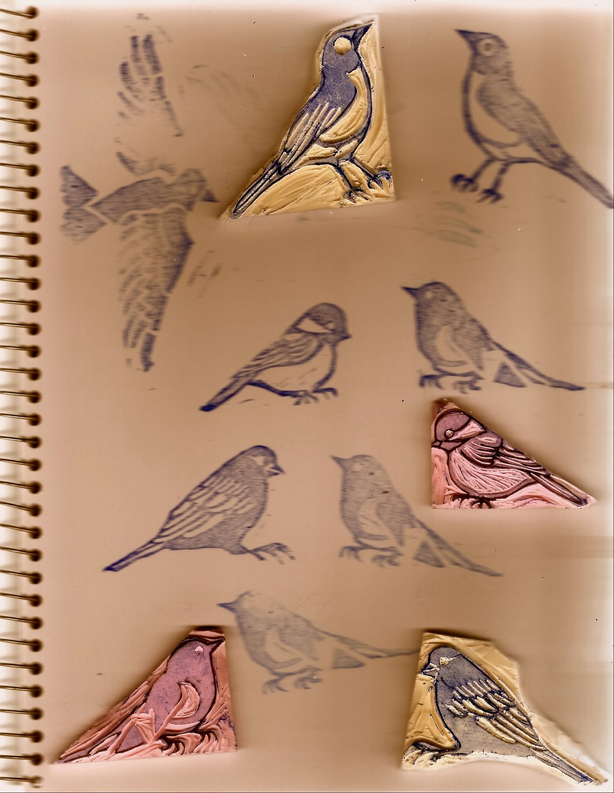[More+birdies.jpg]