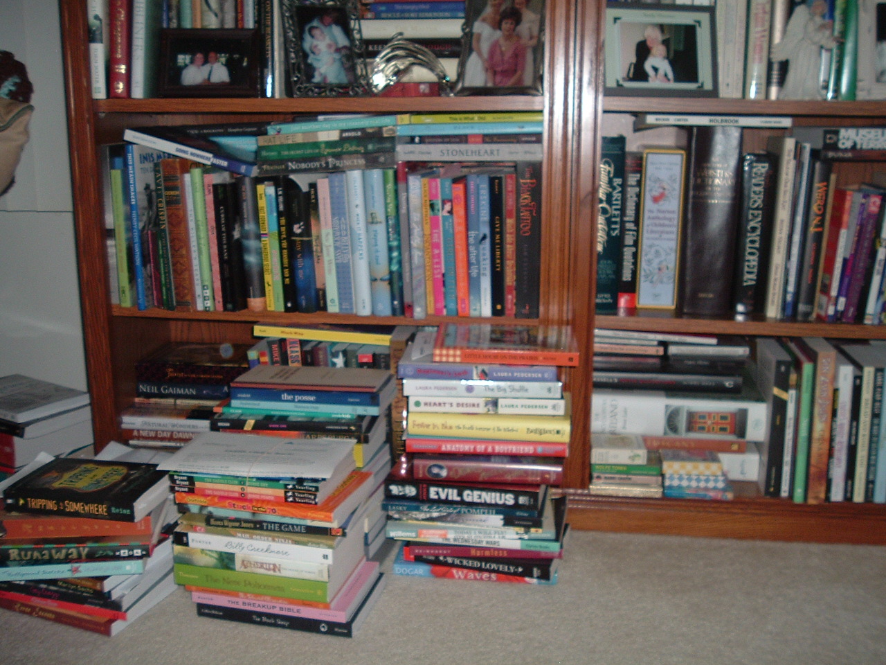 [bookshelves+003.jpg]