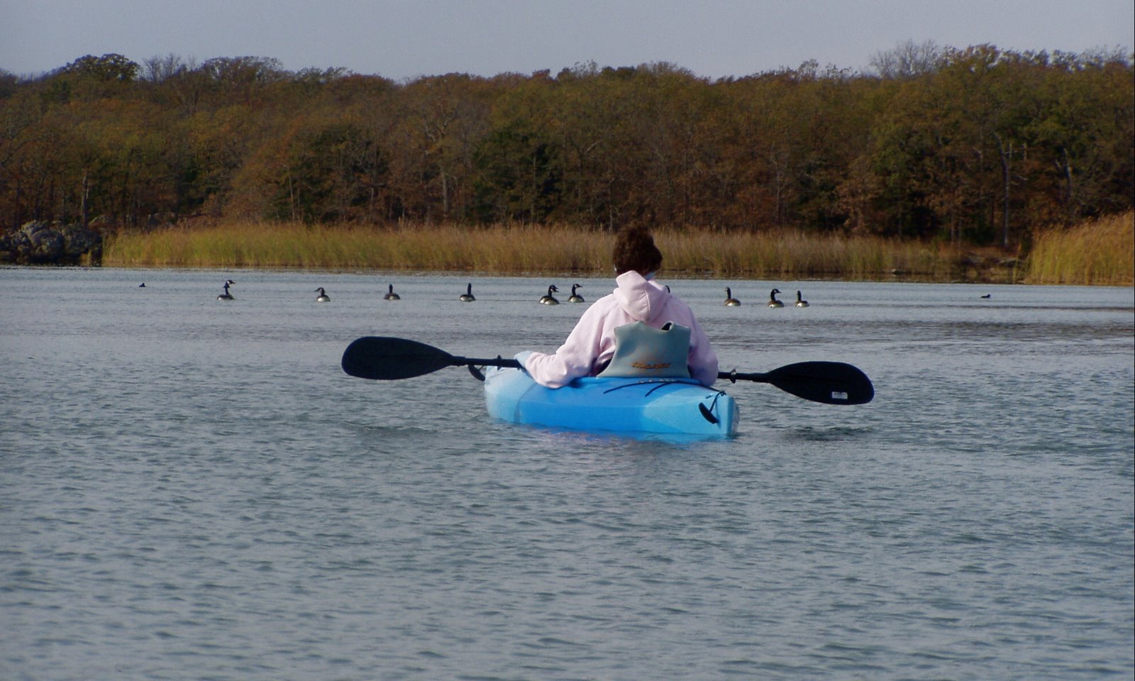 [kayak+w:ducks.jpg]
