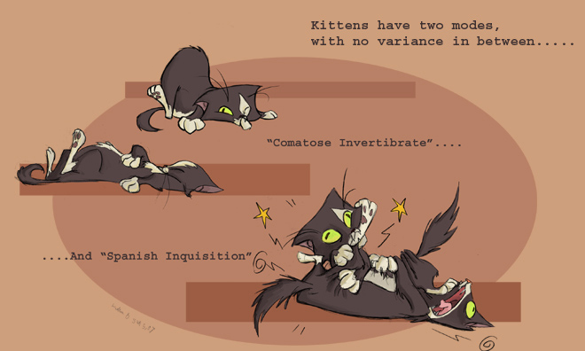 [kittens.jpg]