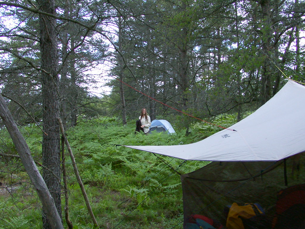 [35+-+Our+tent+among+the+ferns+on+Loon+Lake.jpg]