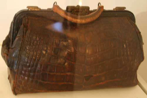 Brown alligator skin satchel in a case