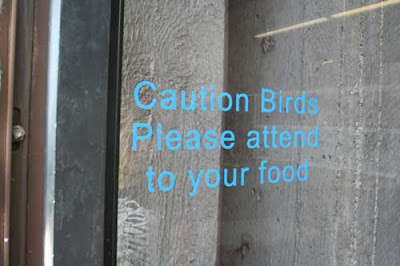 Sign on a window that reads Caution Birds Please attend to your food