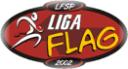 [Liga+Flag.jpg]
