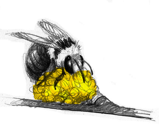 [abeille+copie.jpg]