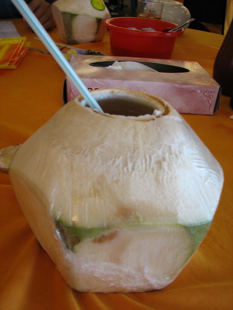 [refreshing+coconut+water.JPG]