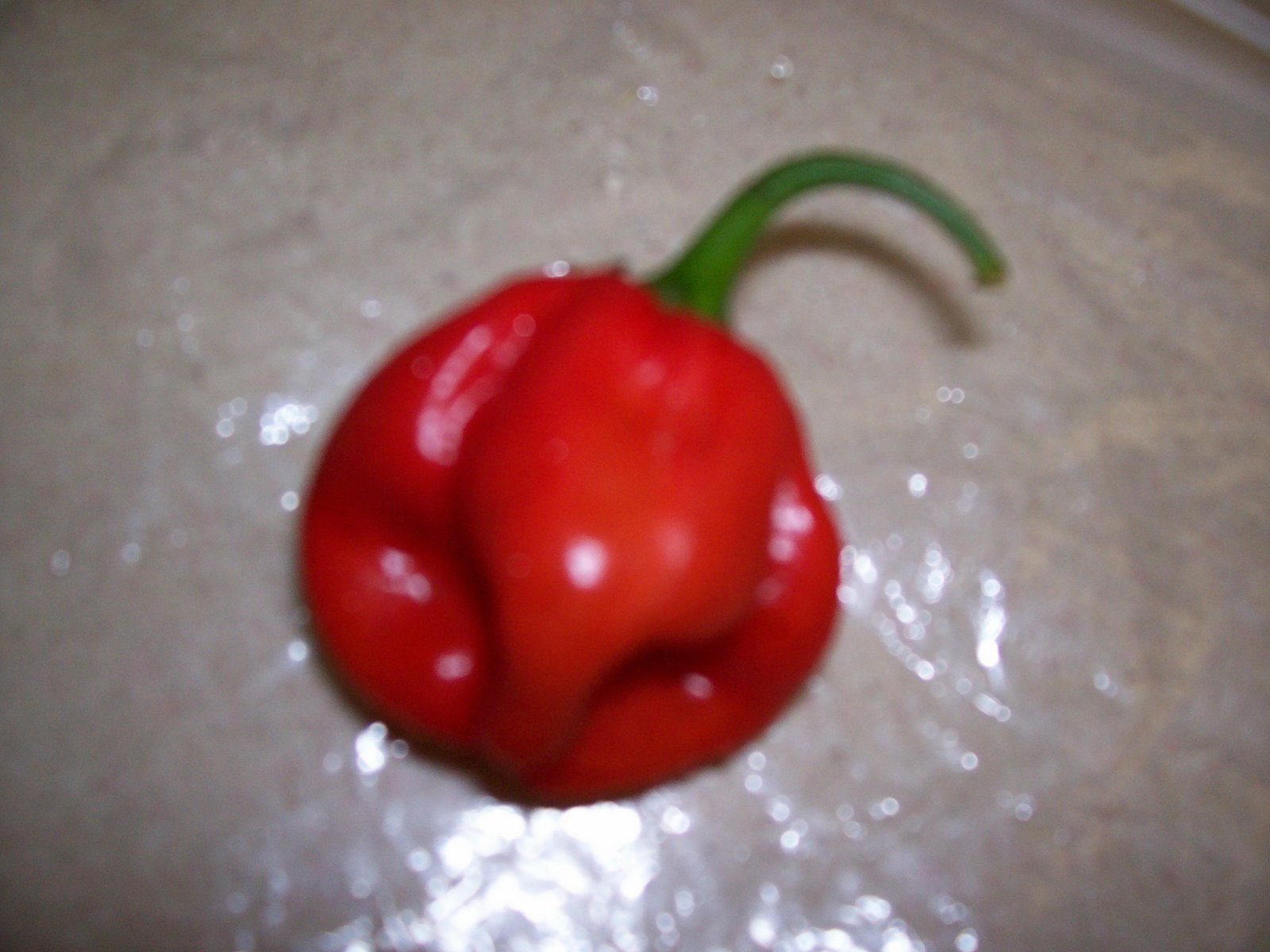 [pepper.jpg]