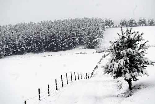 [campos+con+neve+en+Galicia+o+24+de+enero+de+2007.jpg]