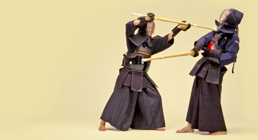 [tsuki-samurai-espada-bogu.jpg]