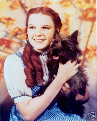 [Dorothy.jpg]
