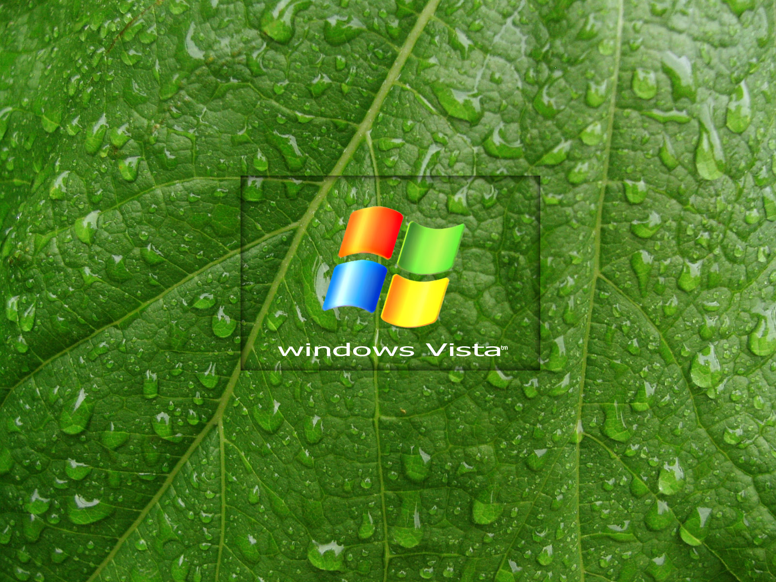 [windows_vista.jpg]