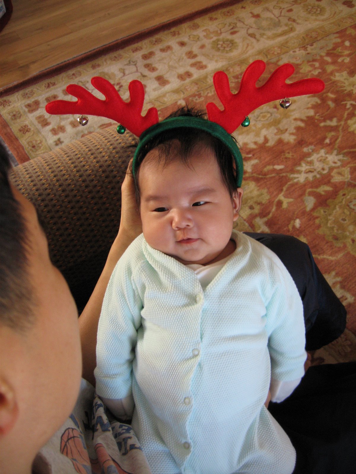 [christmas+reindeer.jpg]