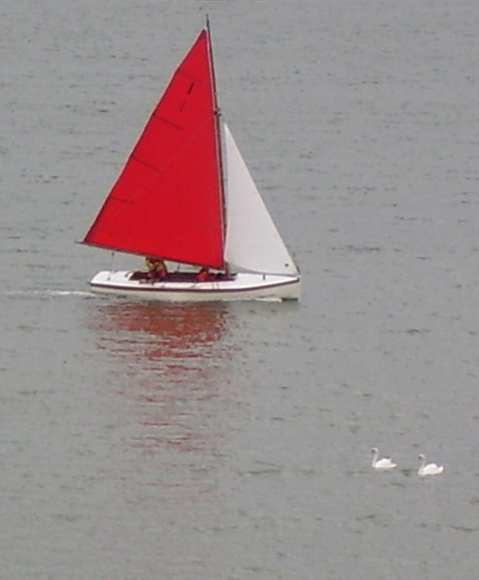 [boat+swans.jpg]