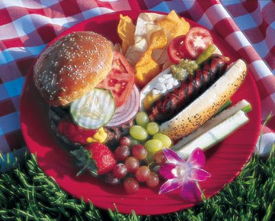 [picnic-plate2.jpg]