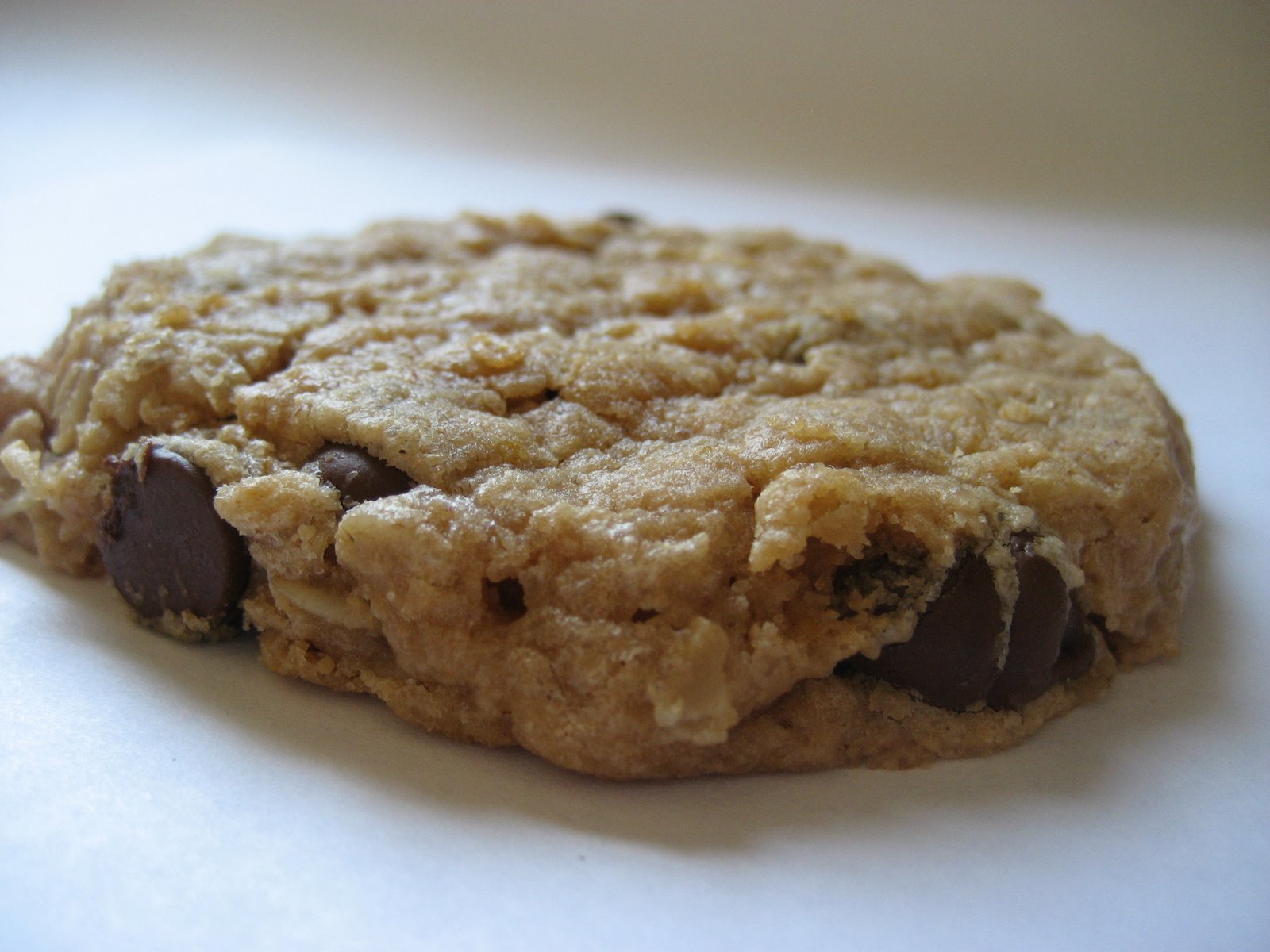 [Chocolate+Chip+Peanut+Butter+Oatmeal+Cookie.JPG]