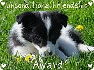 [Unconditional+Friendship+Award.jpg]