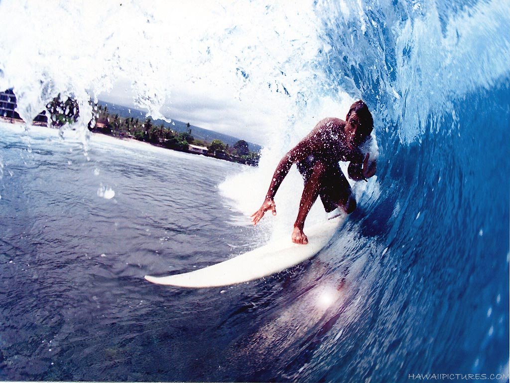 [hawaii_surfing31024x768a.jpg]