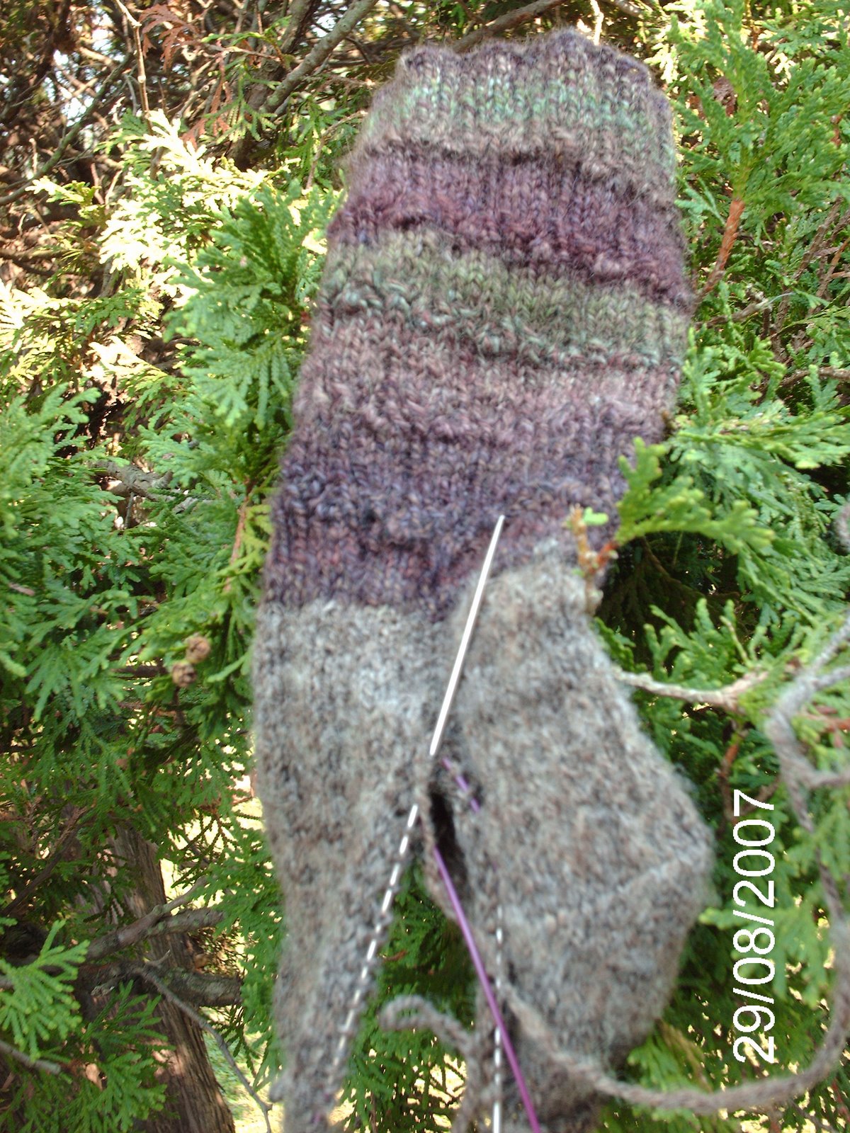 [knitting07+035.jpg]