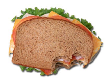 [sandwich_big.jpg]