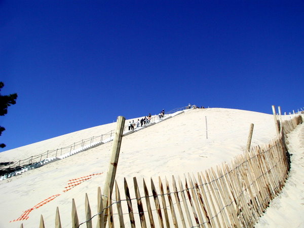 [Up+the+dune.JPG]