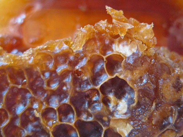[Honeycomb.jpg]