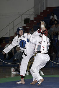 [200px-Taekwondo_Fight_01.jpg]